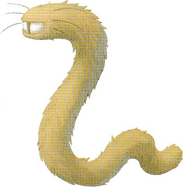 File:MV Nyamworm Artwork.png