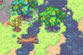 Mimolette Forest