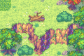 Java Sparrow Fields