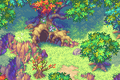 Forest Cave